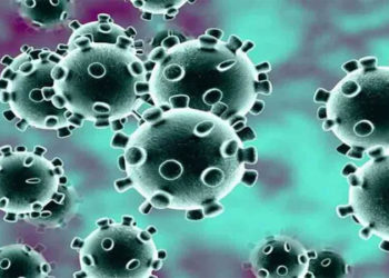 Cases filed in Satara, Shirdi for flouting mass gathering ban