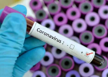 COVID-19 recovery rate in India reaches 85%