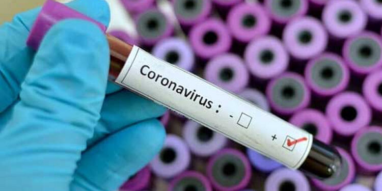 COVID-19 recovery rate in India reaches 85%