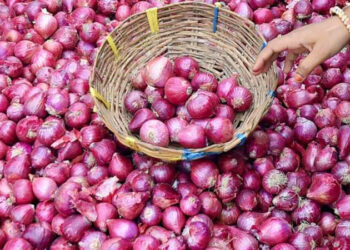 Government imposes stock limit to check rise in onion prices
