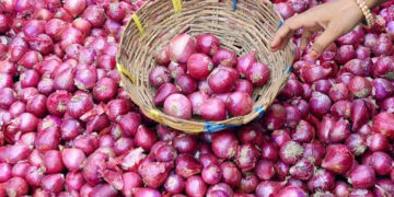Government imposes stock limit to check rise in onion prices