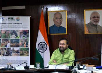 India celebrating Wildlife week with RoaR Campaign