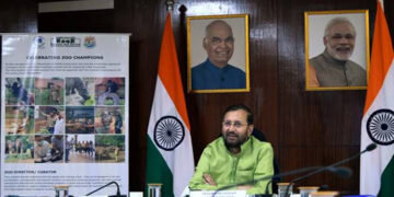 India celebrating Wildlife week with RoaR Campaign