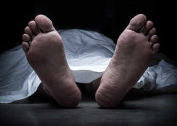 Canada Ferozepur girl killed in road accident