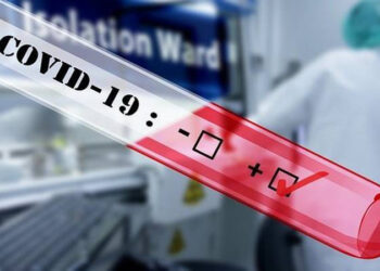 Germany reports 11,409 new COVID-19 cases