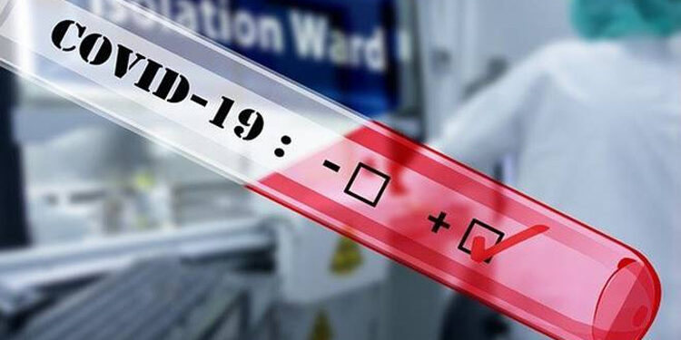 Germany reports 11,409 new COVID-19 cases