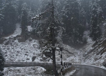 Snowfall, rains bring mercury down in Jammu & Kashmir