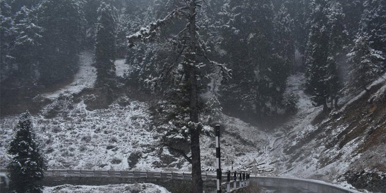 Snowfall, rains bring mercury down in Jammu & Kashmir