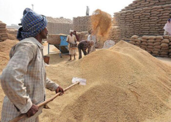 PUNJAB CROSSES 160 LMT MARK OF PADDY ARRIVAL, 26 PERCENT MORE THAN LAST YEAR-LAL SINGH