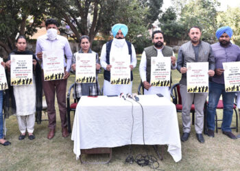 Punjab Youth Congress to launch statewide gender sensitization drive from Hoshiarpur: Brinder Dhillon