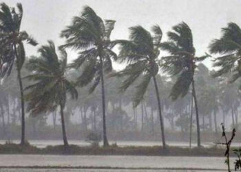 Pre-cyclone watch declared in southern parts of Kerala and Tamil Nadu