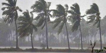 Pre-cyclone watch declared in southern parts of Kerala and Tamil Nadu