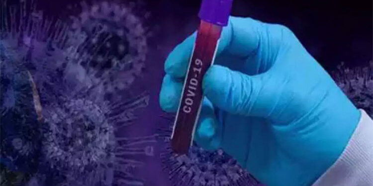 US records nearly 250,000 new COVID-19 cases in last 24 hours