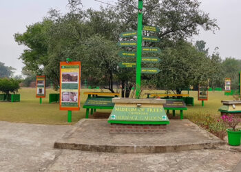 MUSEUM OF TREES – NEW ENVIRONMENTAL LANDMARK OF CHANDIGARH