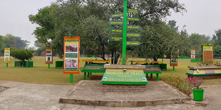 MUSEUM OF TREES – NEW ENVIRONMENTAL LANDMARK OF CHANDIGARH