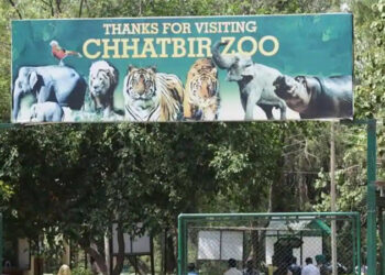 Chhatbir Zoo re-Opens to visitors on December 10 with new guidelines