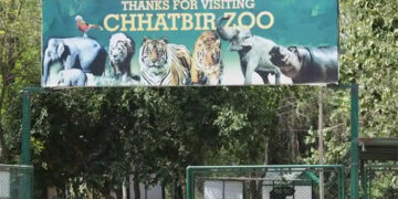 Chhatbir Zoo re-Opens to visitors on December 10 with new guidelines