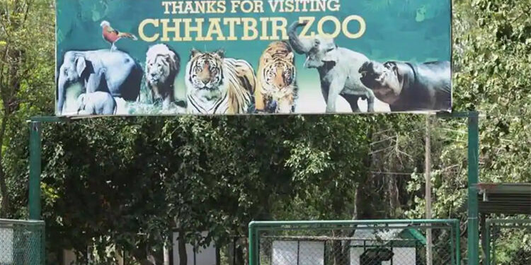 Chhatbir Zoo re-Opens to visitors on December 10 with new guidelines