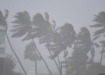 Central team to visit Cyclone Nivar-affected Tamil Nadu and Puducherry
