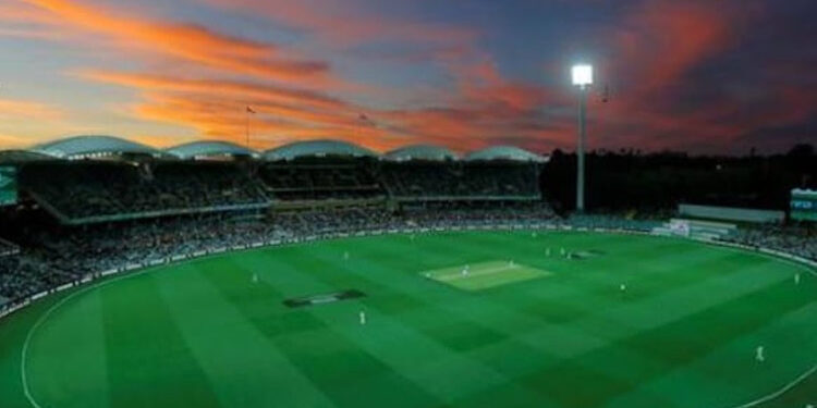 Sydney Cricket Ground gets green light to host Pink Test