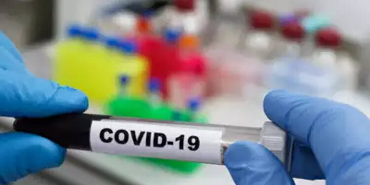 Study sheds light on potential allergic reactions of Coronavirus vaccines