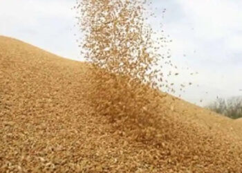 MSP Operations during Kharif Marketing Season 2020-21