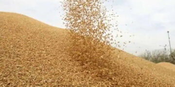 MSP Operations during Kharif Marketing Season 2020-21